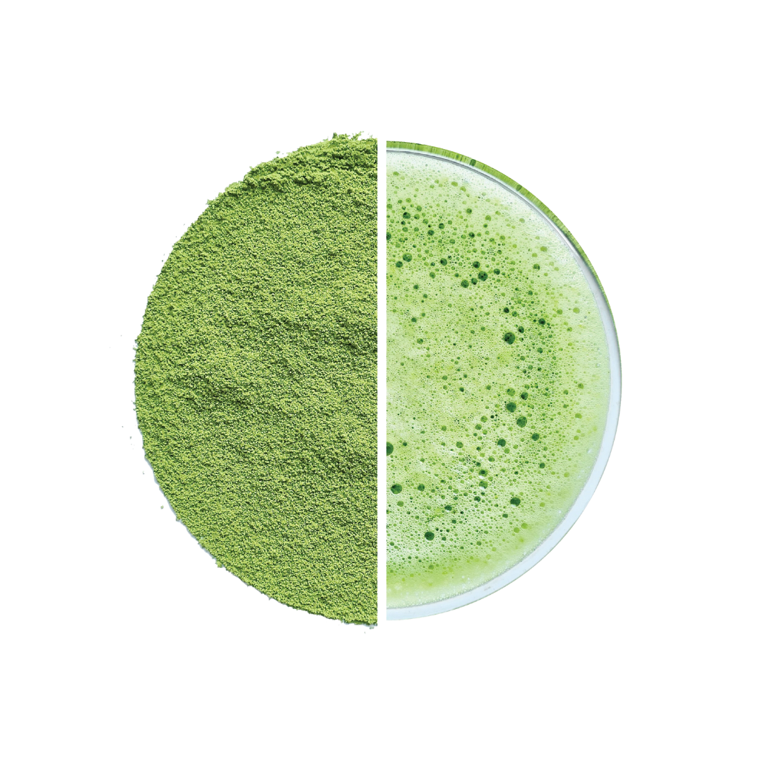 Premium matcha